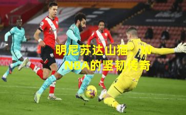 明尼苏达山猫:WNBA的坚韧传奇