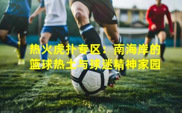 热火虎扑专区：南海岸的篮球热土与球迷精神家园