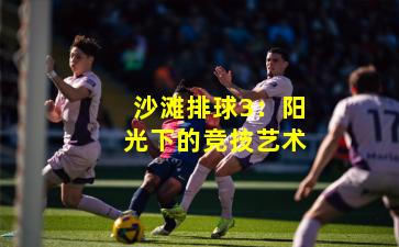 沙滩排球3：阳光下的竞技艺术